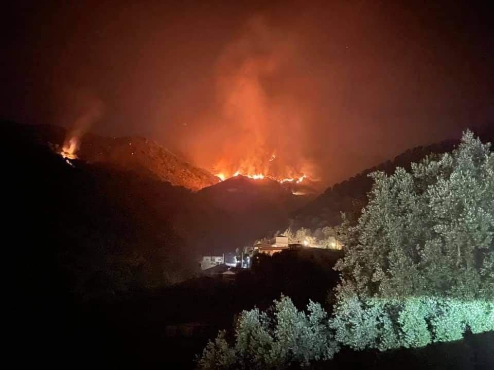 Bagaladi, vasto incendio in collina. Distrutti uliveti secolari