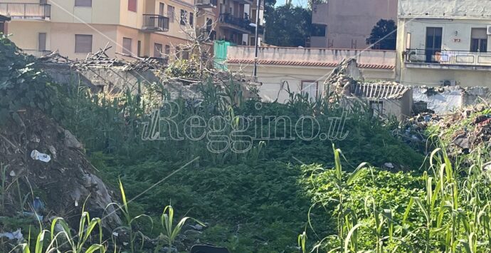 Reggio, nell’area degli orti urbani non ci sono rifiuti pericolosi – FOTO