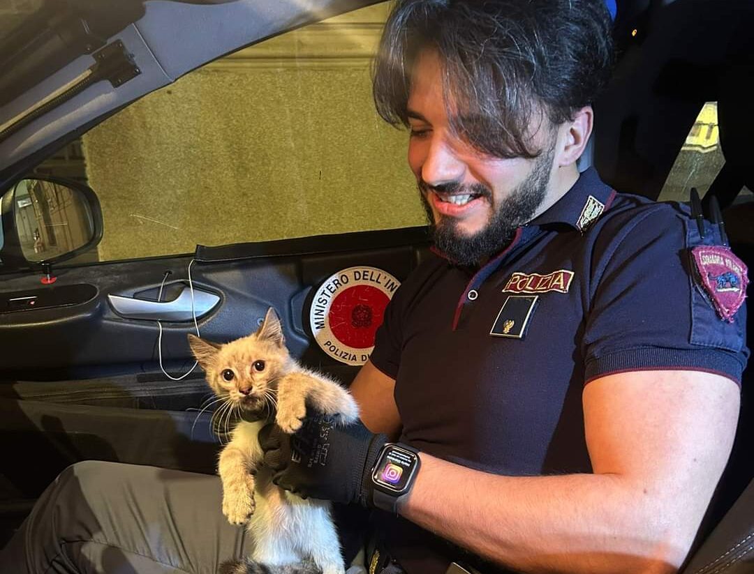Poliziotti salvano gattino in autostrada a Reggio